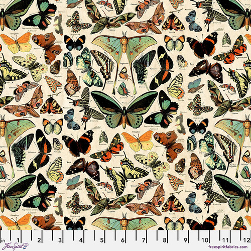 Eclectic Palette Butterflies PWTH276 Teal