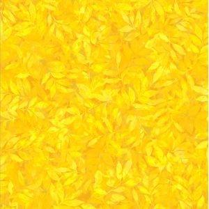 Nature's Palette 59 57015