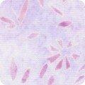 Artisan Batik Petite Pastels 22206 21