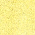 Batik 885 149
