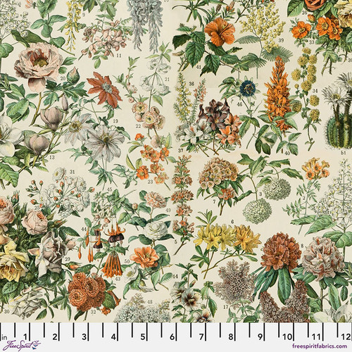 Eclectic Palette Botanical PWTH237 Orange