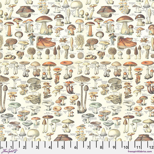 Eclectic Palette Toadstools PWTH236 Orange