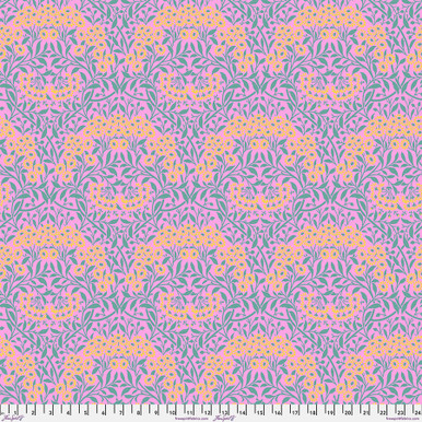 Michaelmas Daisy PWKW 007 Pink