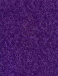 Blockbuster Basics C8400 Purple