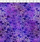 I Dream in Color 8 IDC 3