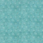 Bearly Dot DDC12288 Mint