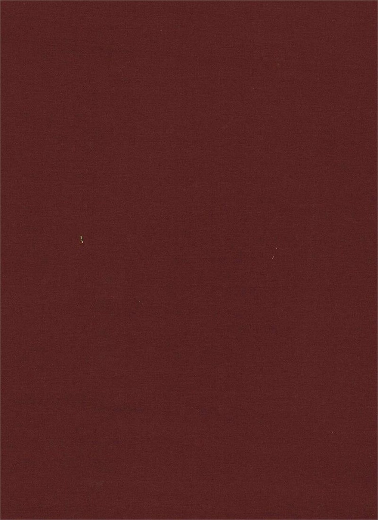 Simply Primitive Blender - 0814B