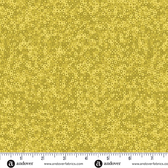 Fairy Rings A1505 Y1