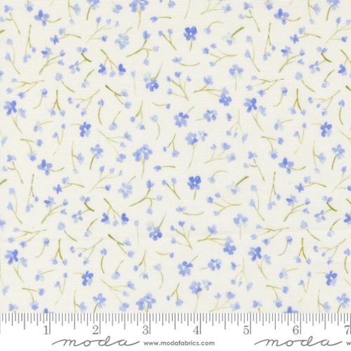 Sweet Cecily 24644 11