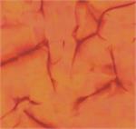 Batik Textiles 4618B