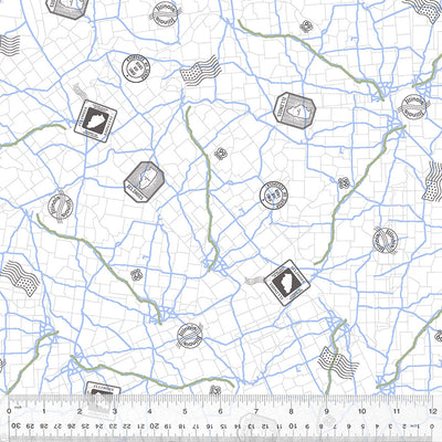 AISH 2025 Roadmap 54676 4