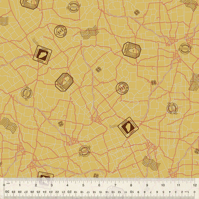 AISH 2025 Roadmap 54676 5