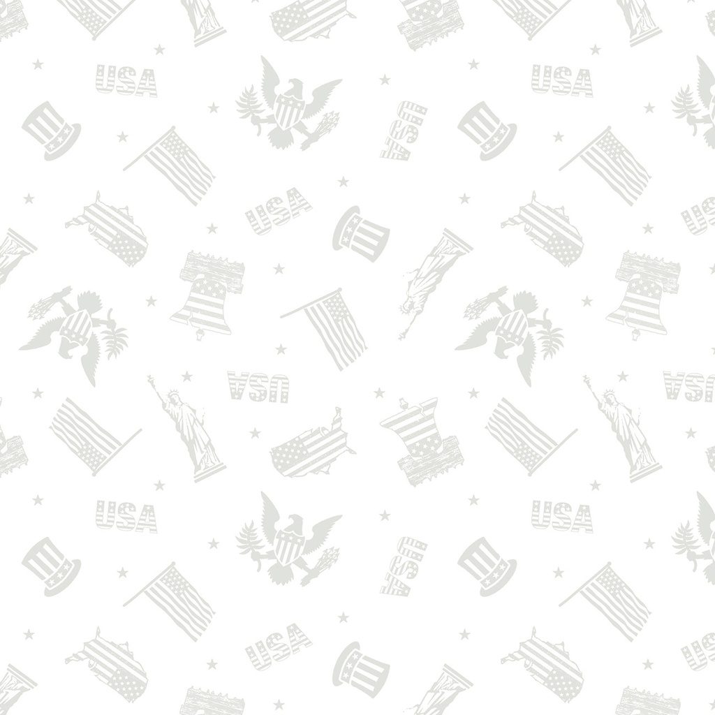 WoW Patriotic Toss 39204 100