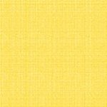 Color Weave Basics  6068 30