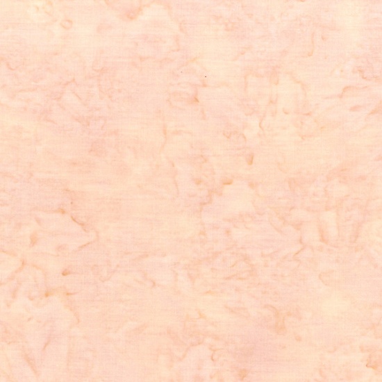 1895 501 Sand Dollar