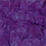 1895 N45 New Grape