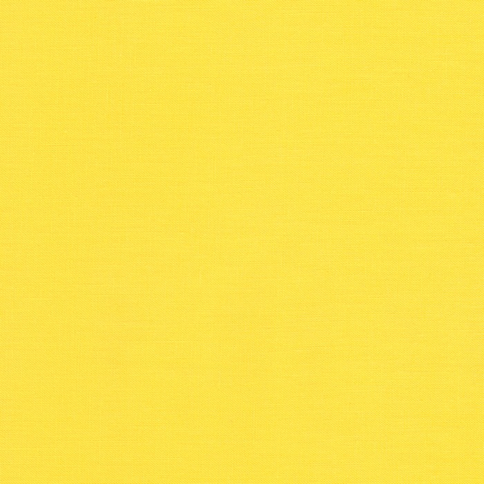 Kona Bright Idea 838