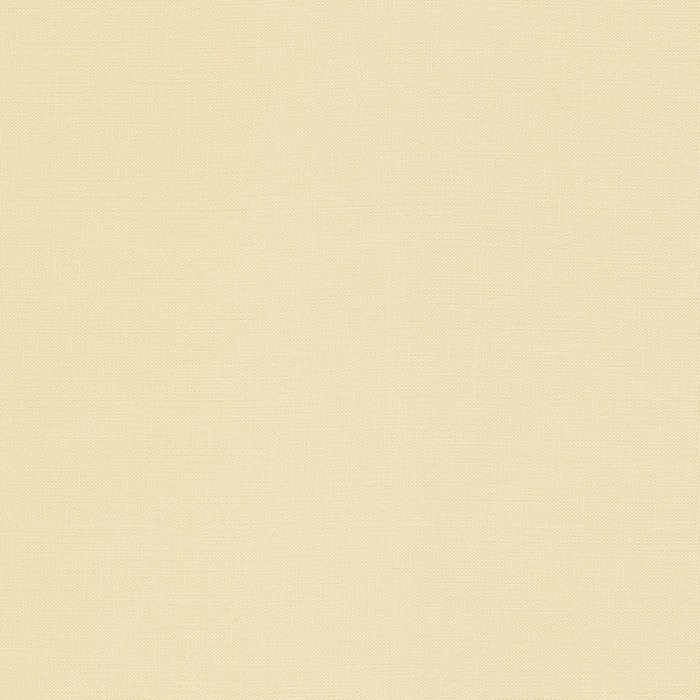 Kona Champagne 1069