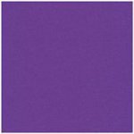 Quilter's Basics ST4510 507 Purple