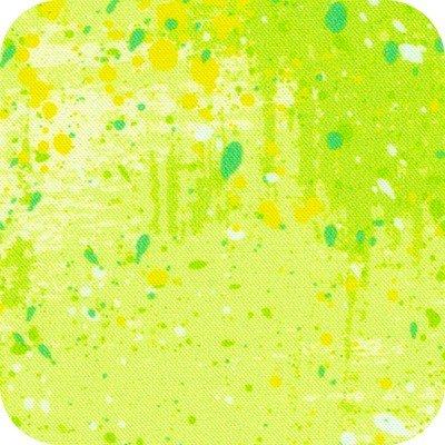 [275771] Wishwell Color Wheel 21619 50