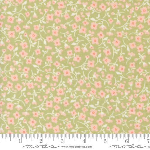 Dainty Meadow Pear 31744 20