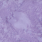 Becolorful Blush BCB13Q