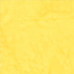 Becolorful Blush BCB1Q-X