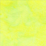 Becolorful Blush BCB24Q