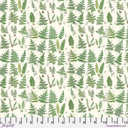 Eclectic Palette Ferns PWTH 265 Green