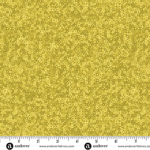 Fairy Rings A1505 Y1