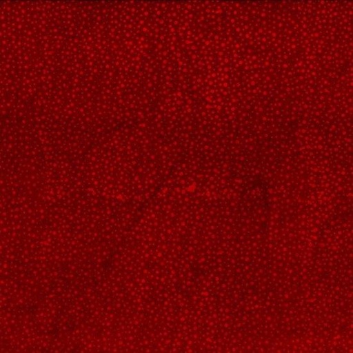 [816119] Bali Dots 885 403 Cherry