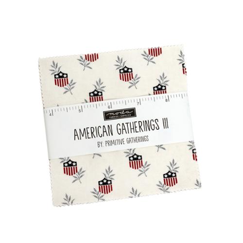 American Gatherings III 49320 PP Charms