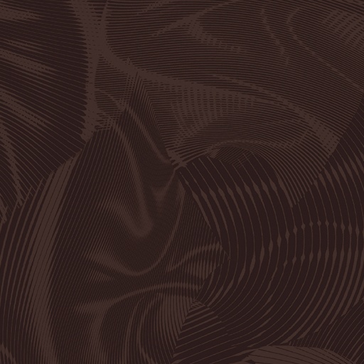 Echo 16261 77