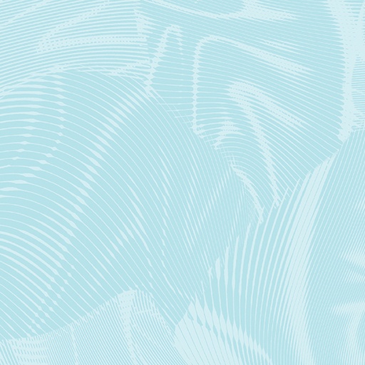 Echo 16261 80