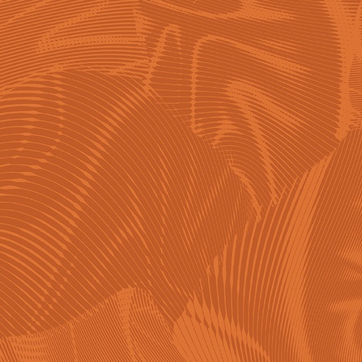 Echo 16261 35