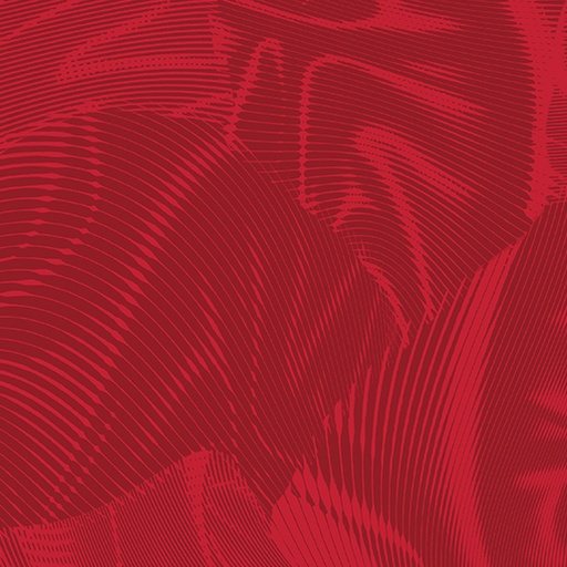 Echo 16261 10
