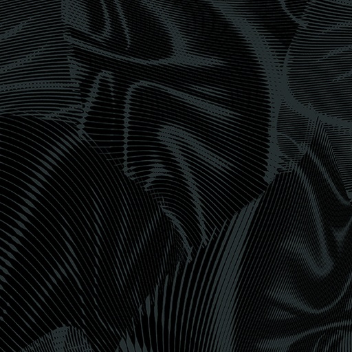 Echo 16261 12