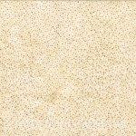 [109951] Batik 885 24