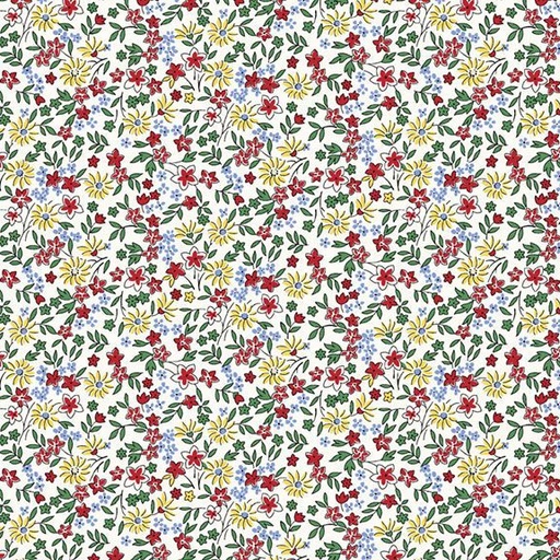 Aunt Grace Goes Bold R351 769D Multi