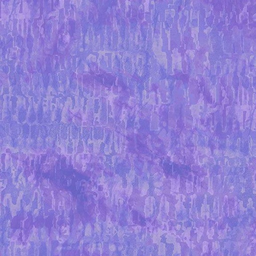 [602795] Color Personality R590258D Bl Violet