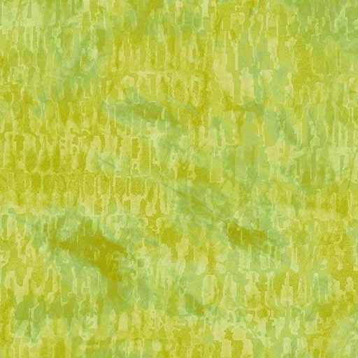 [767049] Color Personality R590258D Lime