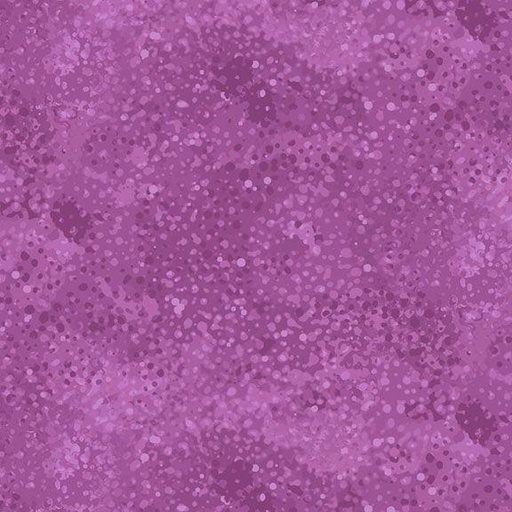 [296104] Color Personality R590259D Purple