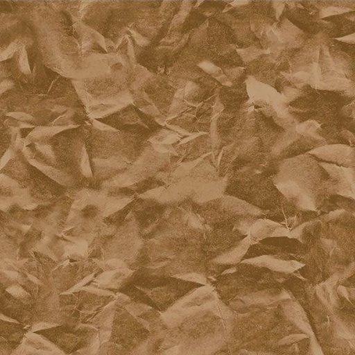 [382522] Color Personality R590261D Brown