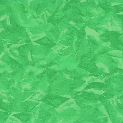 [852432] Color Personality R590261D Green