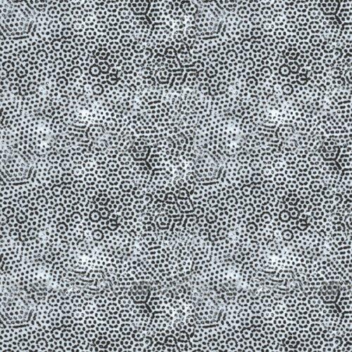 [572391] Dimples 1867 AK