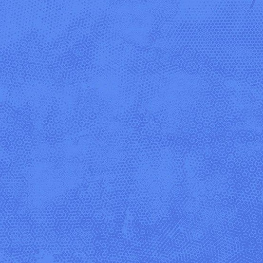 [666599] Dimples 1867 B21 Delphinium