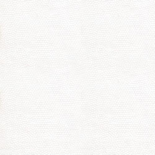 [1518627675] Dimples 1867 WW