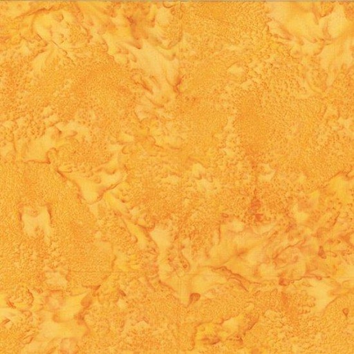 [971018] 1895 705 Dandelion