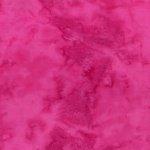 [199958] 1895 97 Raspberry