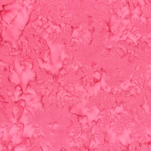 [934877] 1895 557 Azalea